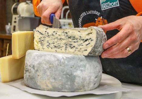 Le Fondant – Fromage de chèvre fermier (Montdenis) – Terroir de Maurienne